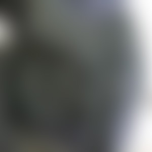 A single backplate charging handle lying against a white surface with part of the internal backplate structure visible.